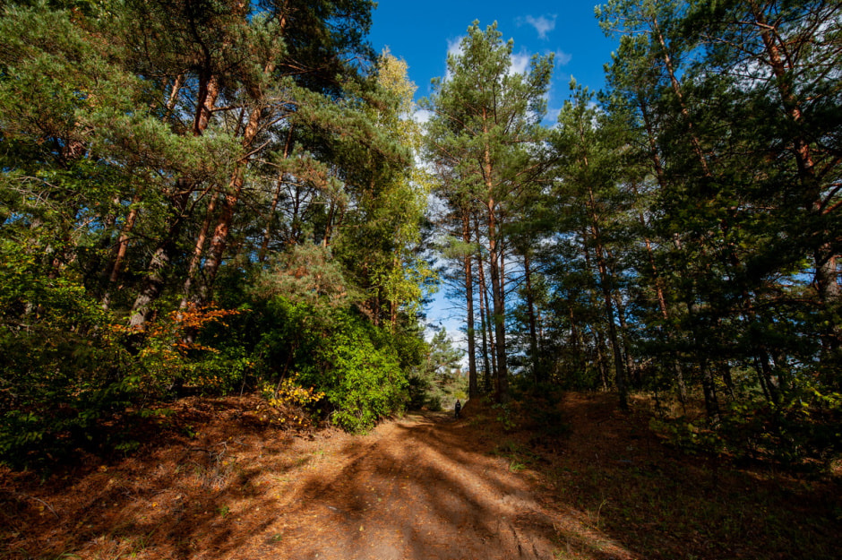 Собрались на шашлыки Проверьте интерактивную карту, где в лесу нельзя отдыхать 1.jpg