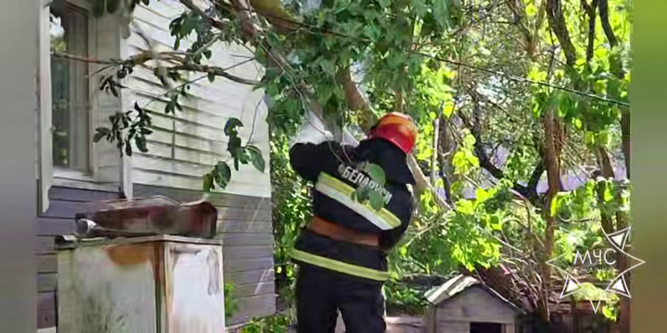 ветер в июне2.jpg