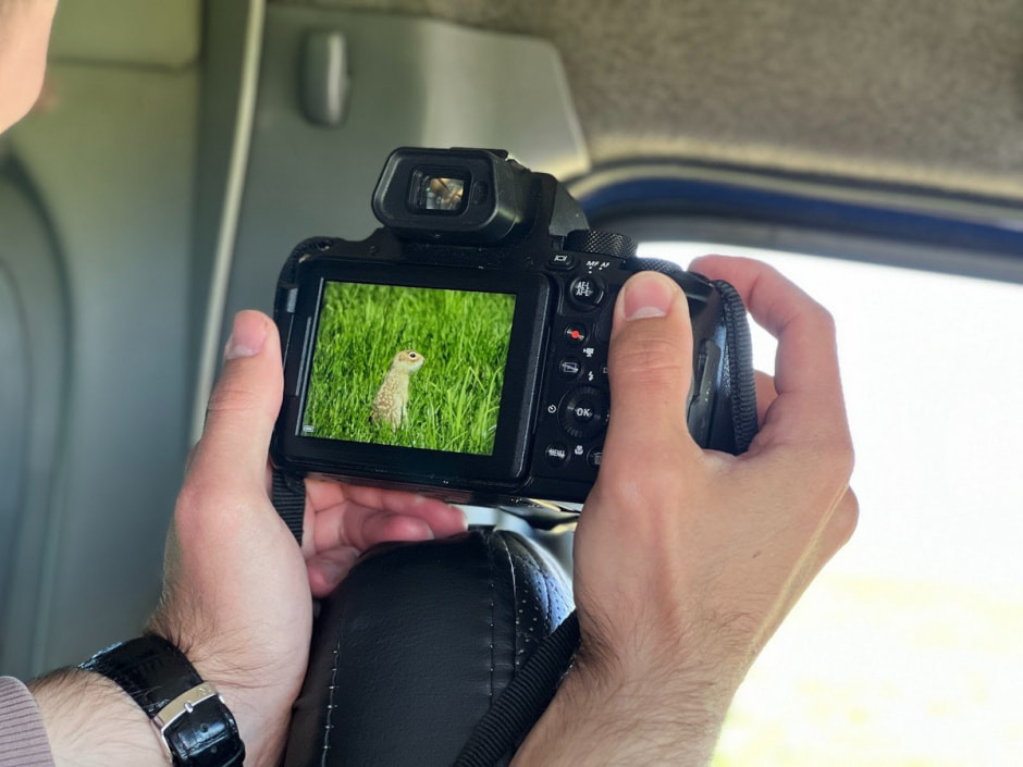 Наблюдаем за сусликами 20.jpg