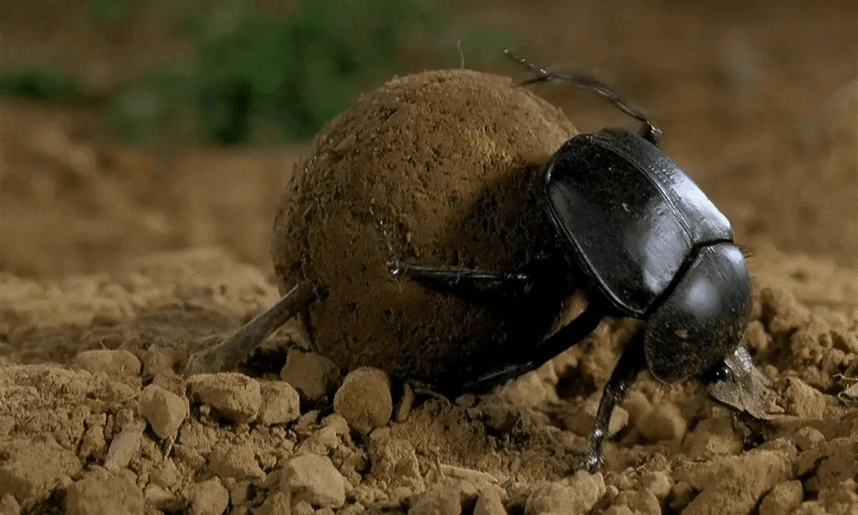 История мяча 4.png