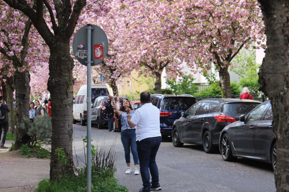 Ханами Марбург 7.jpg