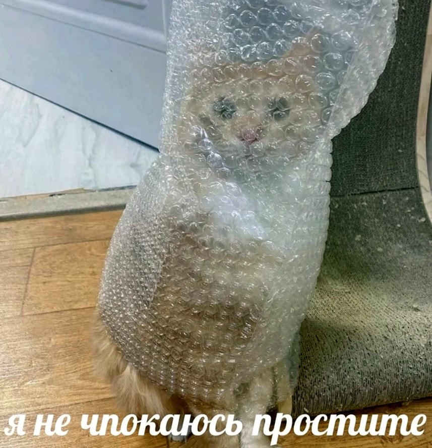 не чпокаюсь.jpg