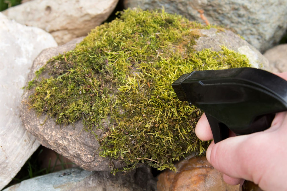 photo_2025-01-09_20-01-35 (2).jpg