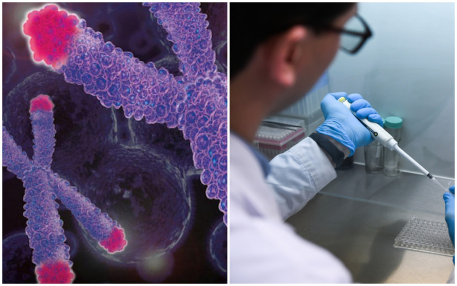 Лекарство от старости тестируют ученые в США.jpg