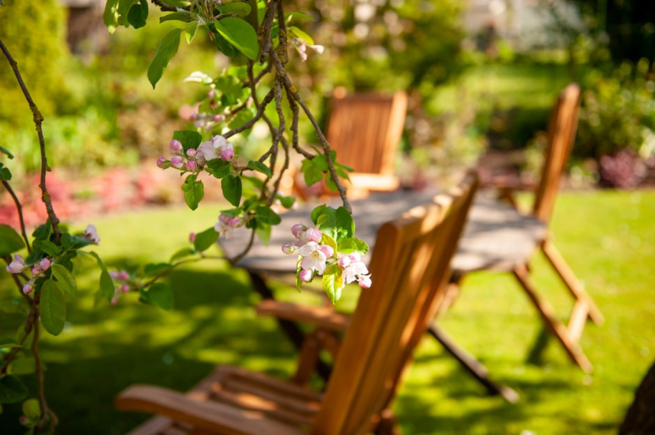 Семья Шокало и экзотический сад 20.jpg