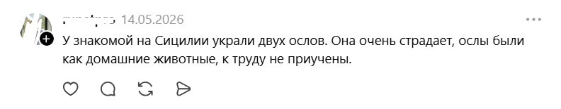 Сицилия, ослы.jpg