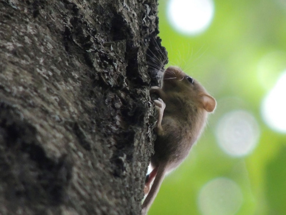 Экспедиция сони 8.jpg Экспедиция сони 8.jpg