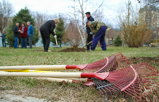 В Беларуси назвали дату проведения республиканского субботника и то, куда пойдут деньги