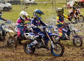 Гонщики на питбайках уничтожили 2 гектара кукурузы в Гомельской области