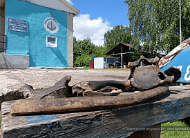 Водолаз в Гомеле поднял со дна Сожа кости мамонта и бизона