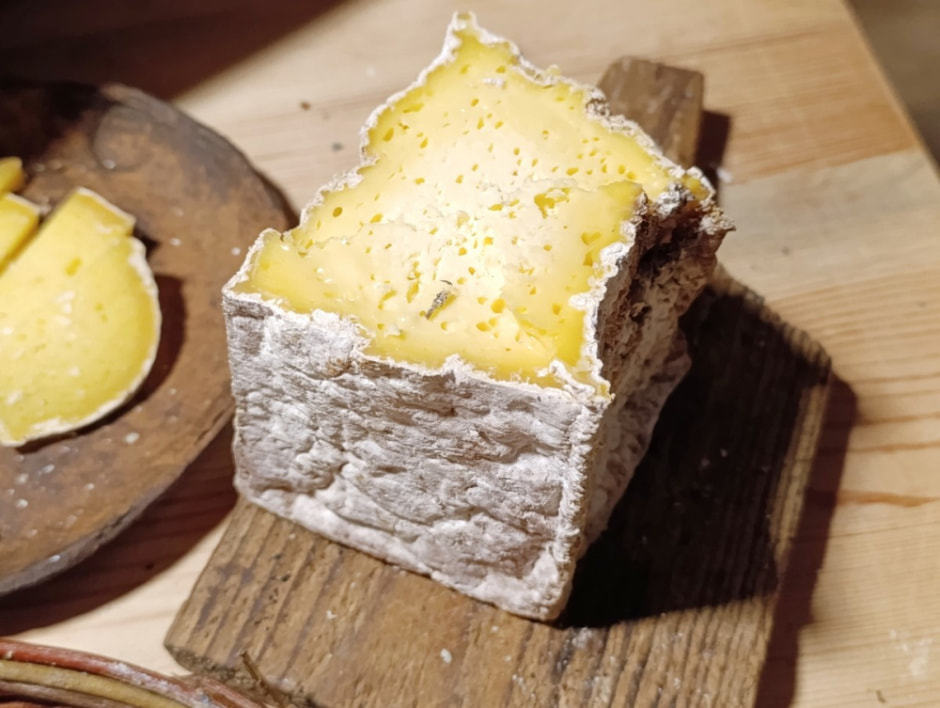 Семья восстановила старые рецепты сыров 8.jpg