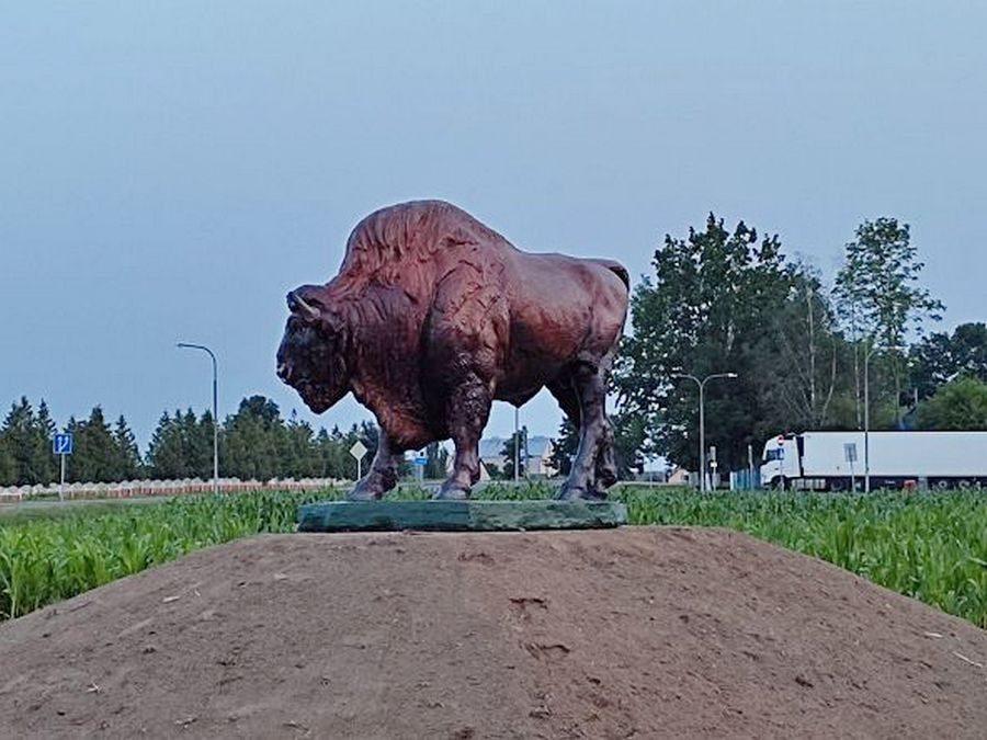 Сядзіба Навіцкіх у Савейках 36.jpg