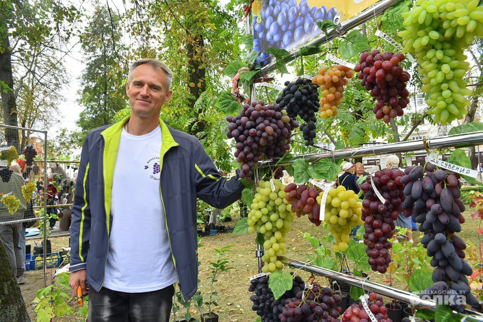 большая гроздь винограда.jpg