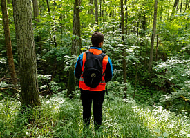 Милиция призвала белорусов не откликаться на поиск людей с этими организациями – вот что будет с деньгами