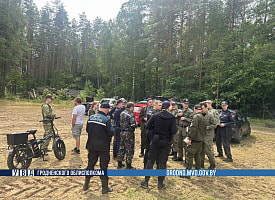 В Гродненском районе полсотни человек третий день ищут пропавшего грибника