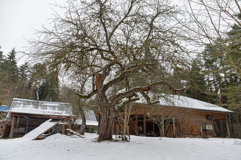 Хутор Комаришки 15.jpg