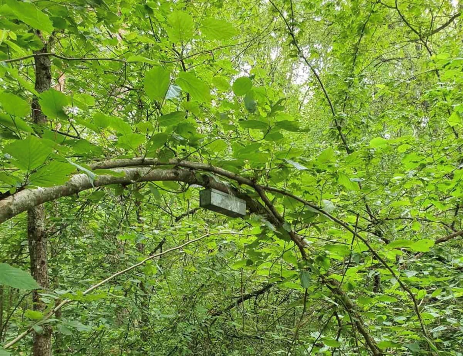 Экспедиция сони 14.jpg Экспедиция сони 14.jpg