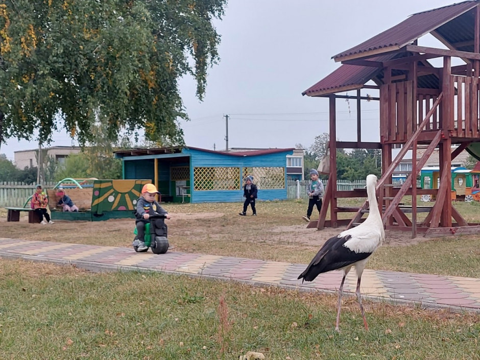 Аист в детском саду 18.jpg