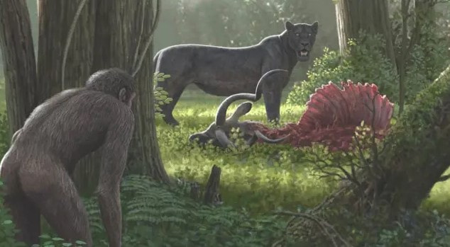 древние люди.jpg