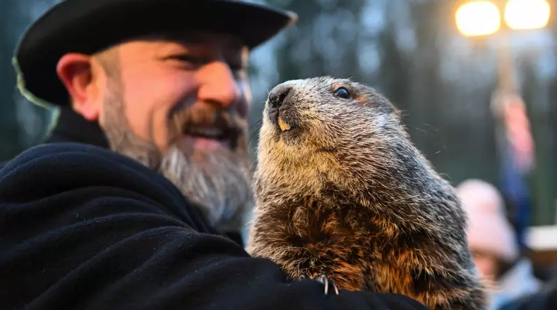 сурок фил.png