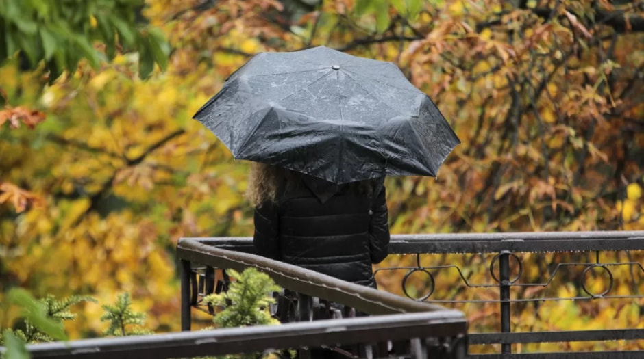 осень дождь осень дождь