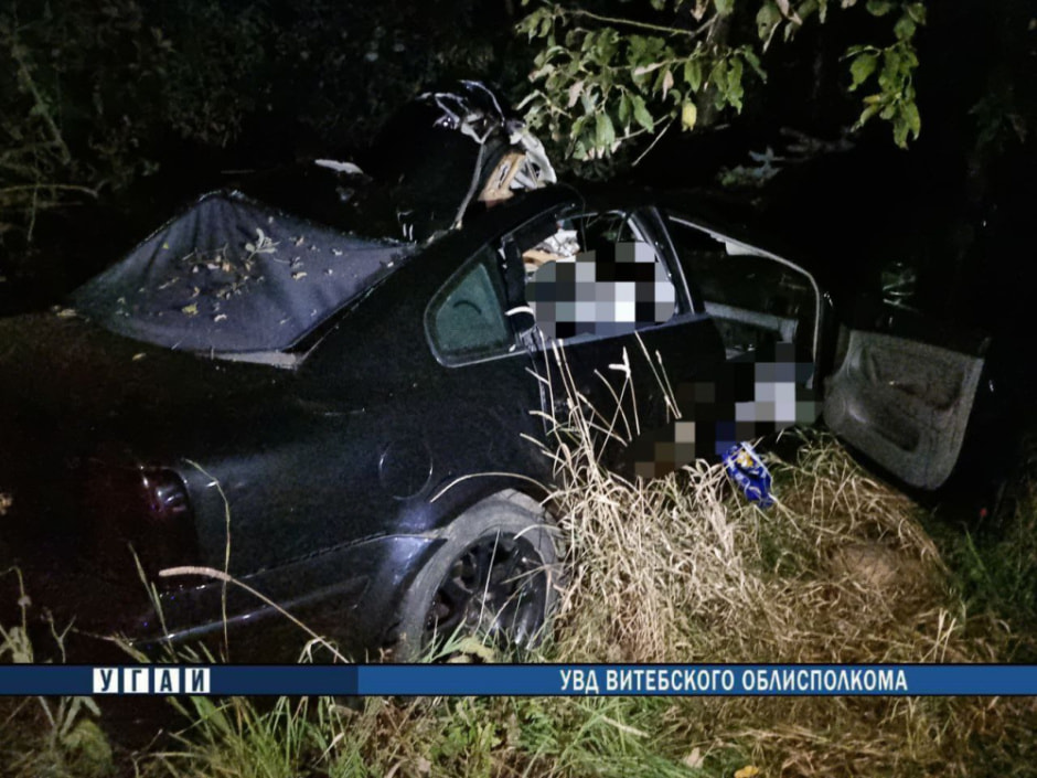 Лось ДТП в Витебской области.jpg