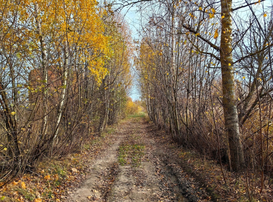Что посмотреть в Солигорске и окрестностях 12.jpg