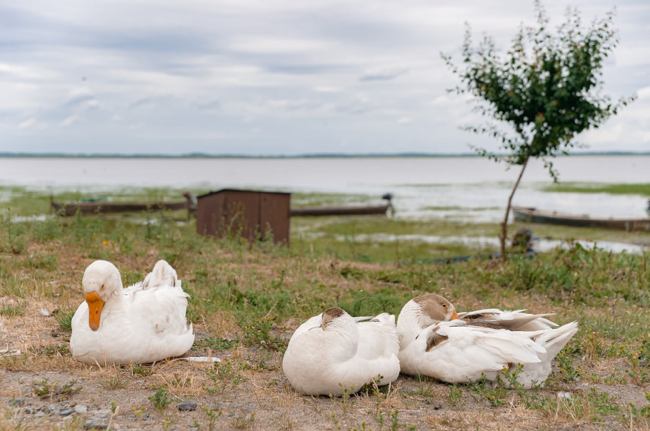 Рыбак из Спорово 14.jpg