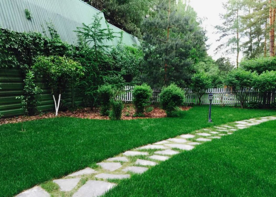 Газон на даче Газон на даче