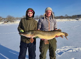 Днепровский “крокодил”: белорусские рыболовы поймали щуку длиной почти полтора метра