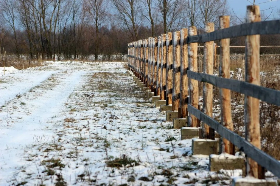 Спасение животных проект Земляне 4.jpg