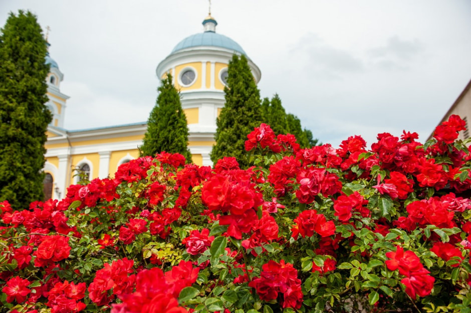 Репортаж из Пружан накануне Солнцестояние-2024 13.jpg