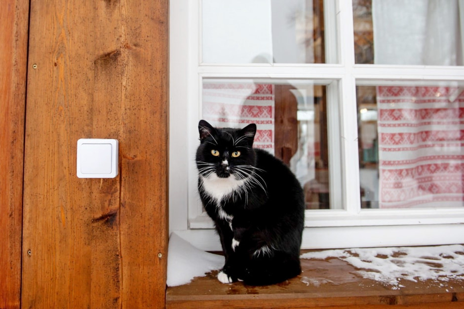 Туристическая деревня Белые луга 27.jpg