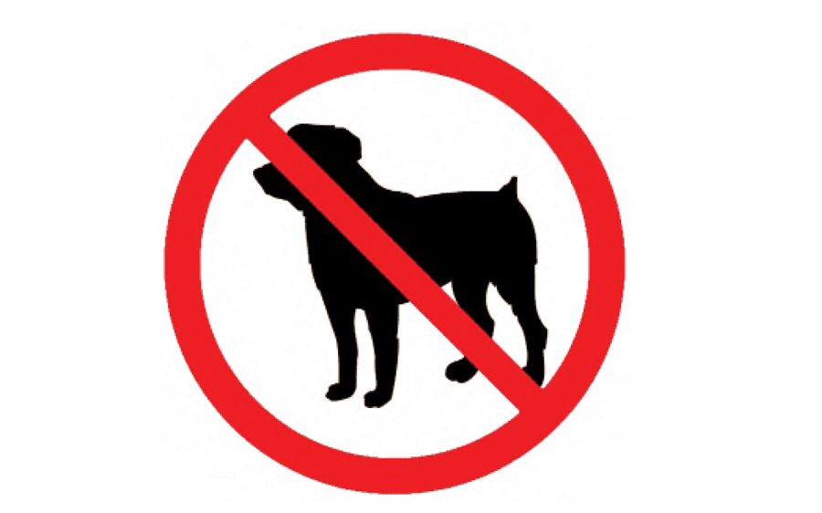 путешествие с животными1.png путешествие с животными1.png