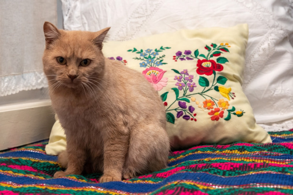 Девушка и деревенская хата в Ягодках 3.jpg