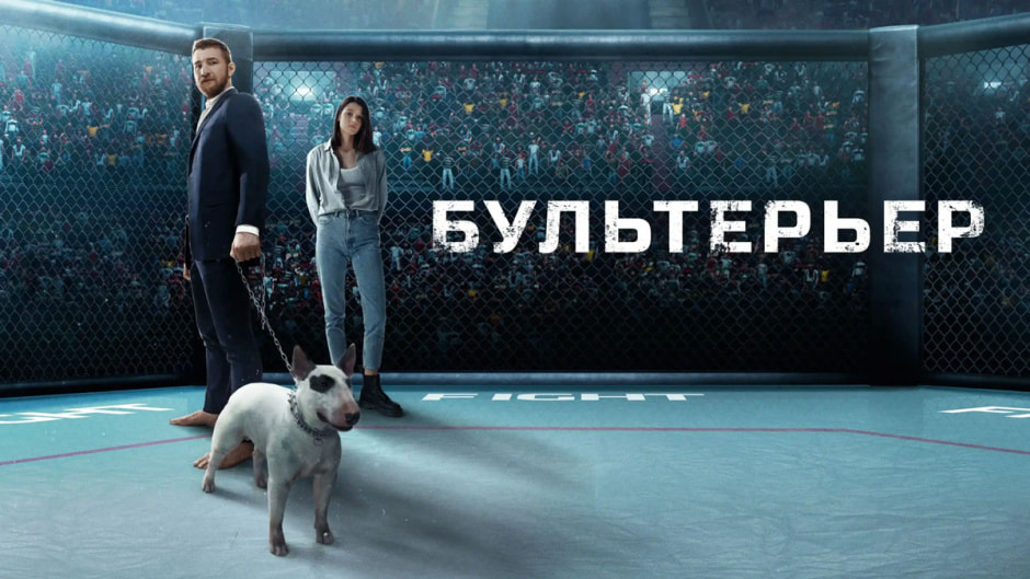 бультерьер.jpg бультерьер.jpg