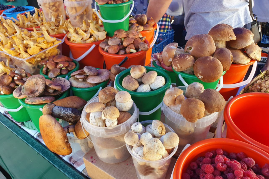 Грибы на Комаровке 1.png