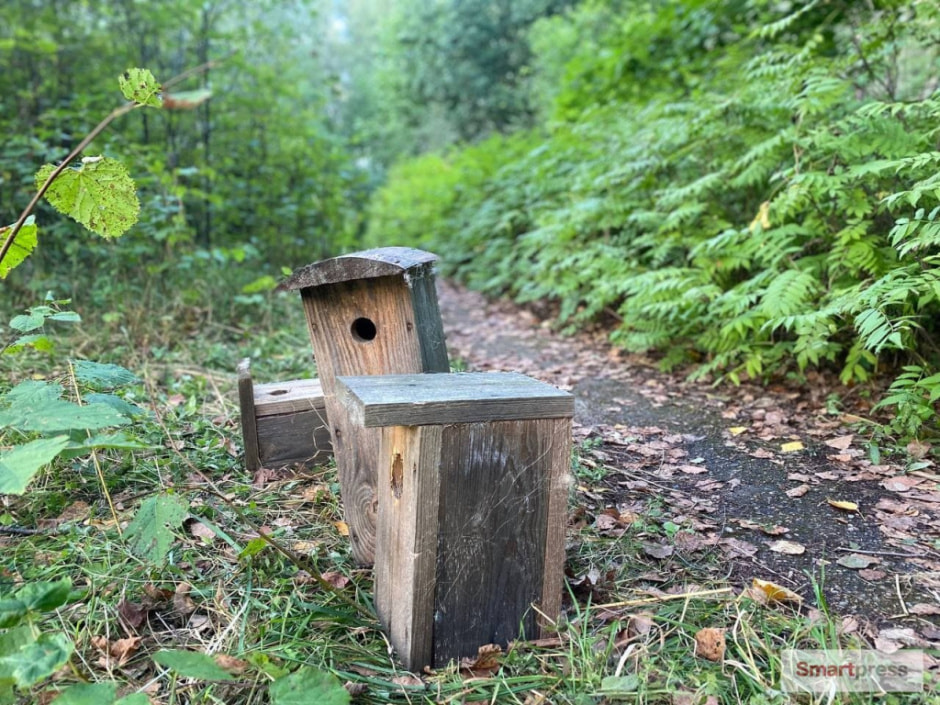 Березинский биосферный заповедник2