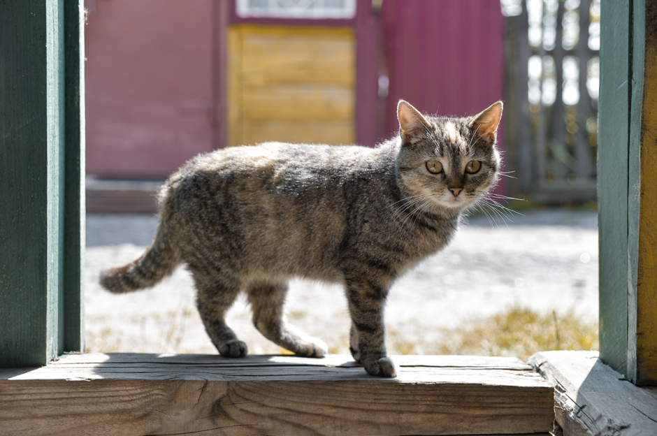 Пчеловод с Полесья 12.png