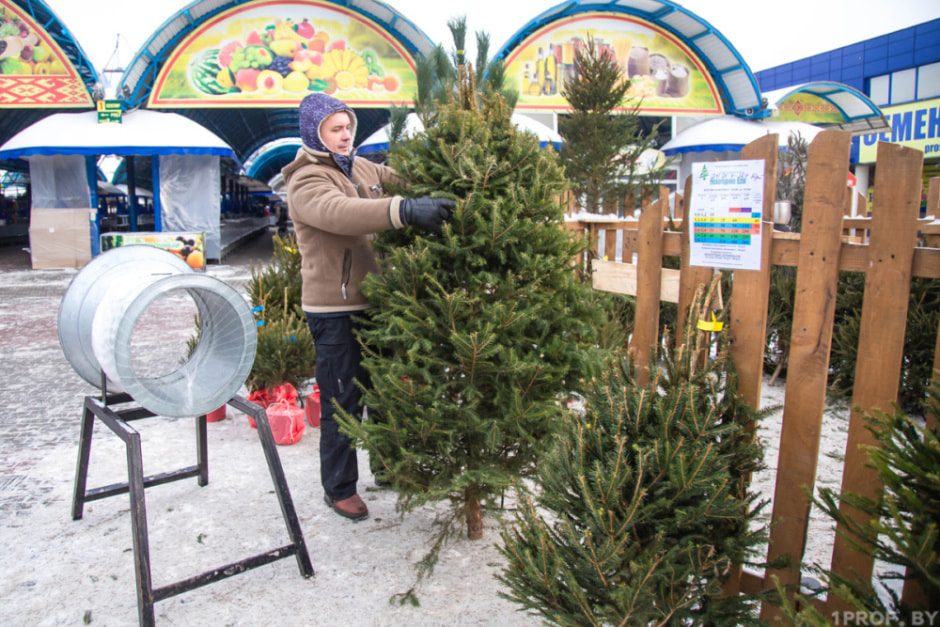елочные базары.jpg