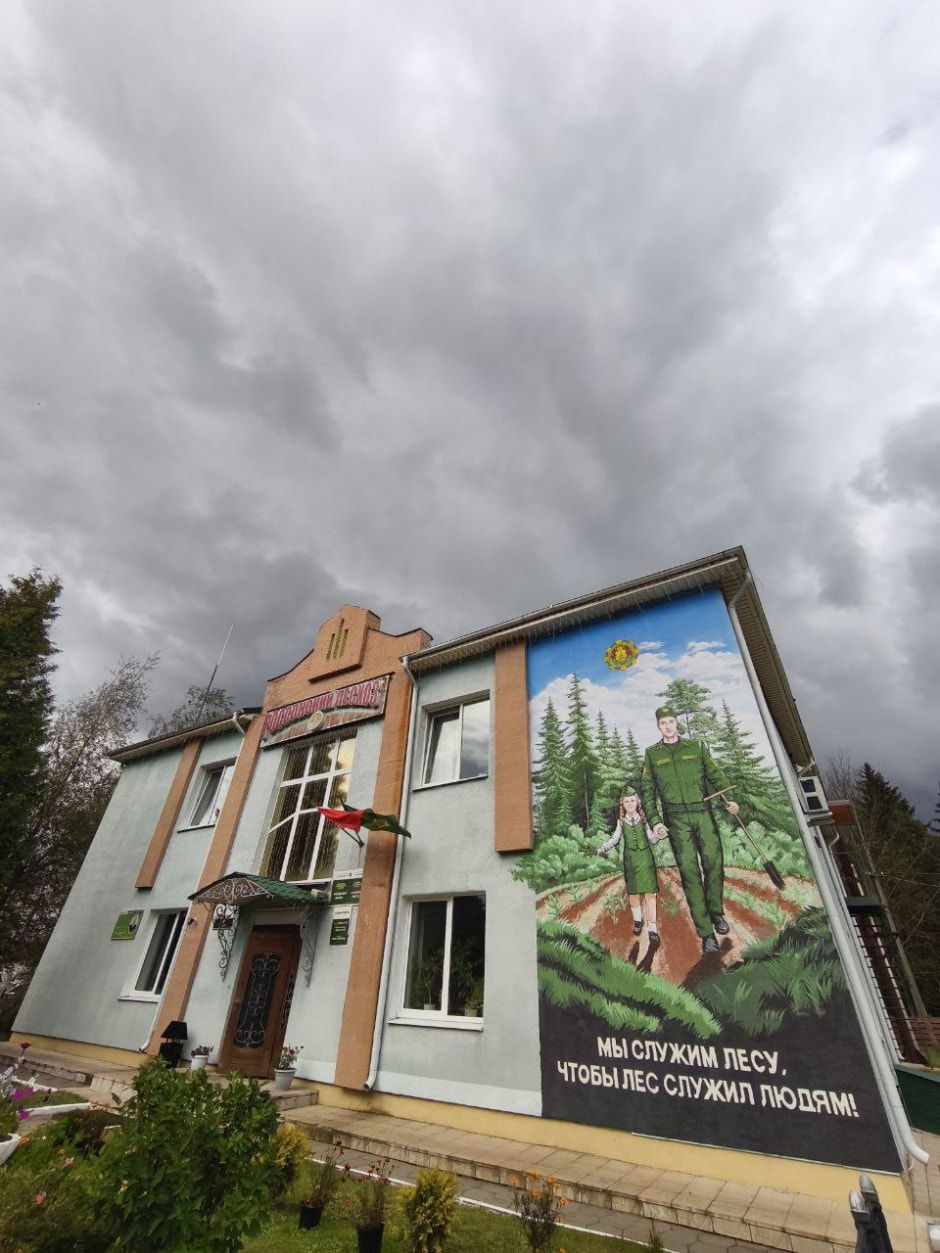 россонский лесхоз