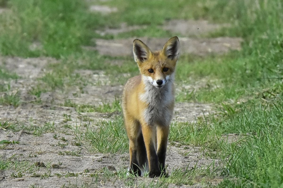 Фотограф-врач Инна Субботина 2.jpg