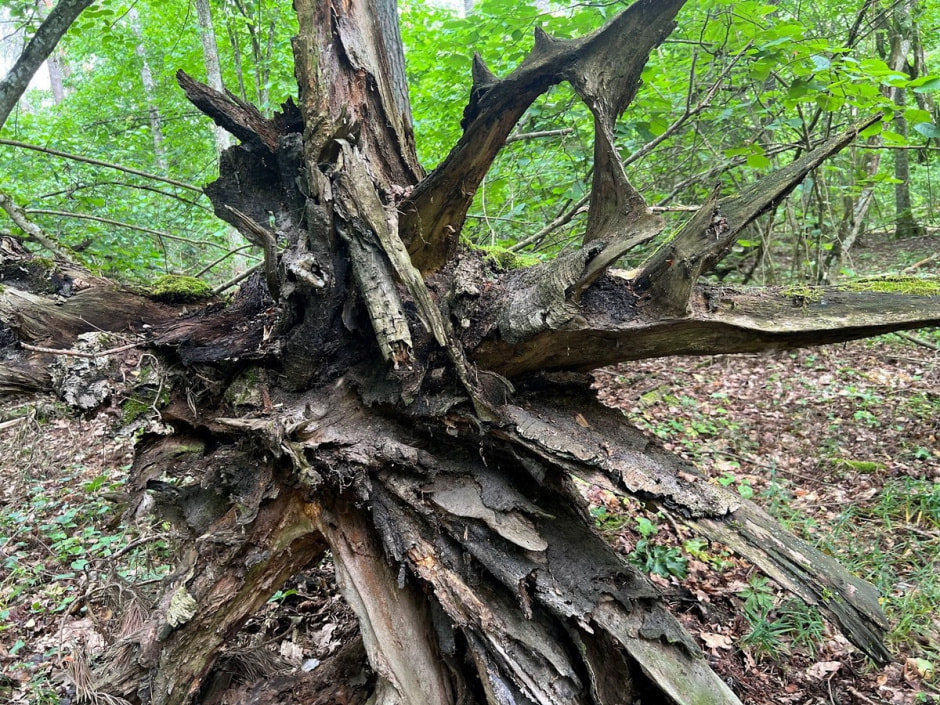 Экспедиция сони 4.jpg