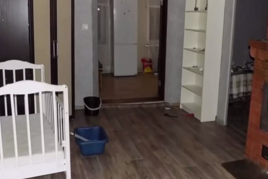 квартира котик.jpg