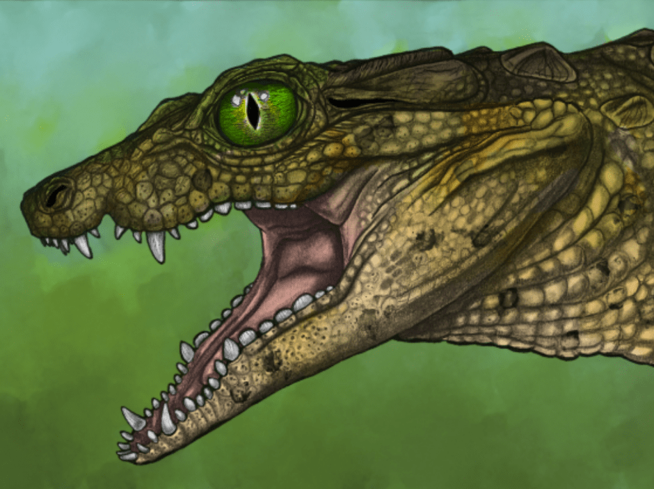 Художественное изображение Thikarisuchus xenodentes , вымершего крокодилообразного из мелового периода Монтаны