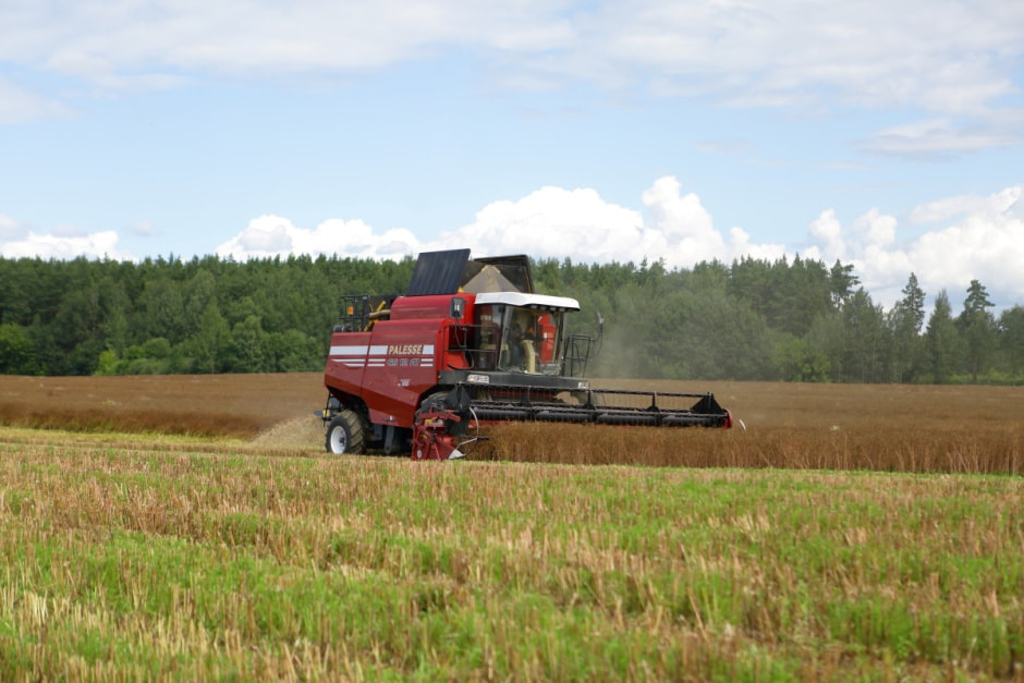 Фиточаи Калина 12.jpg