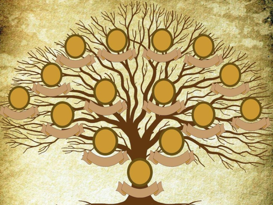 Генеалагічнае дрэва2.jpg