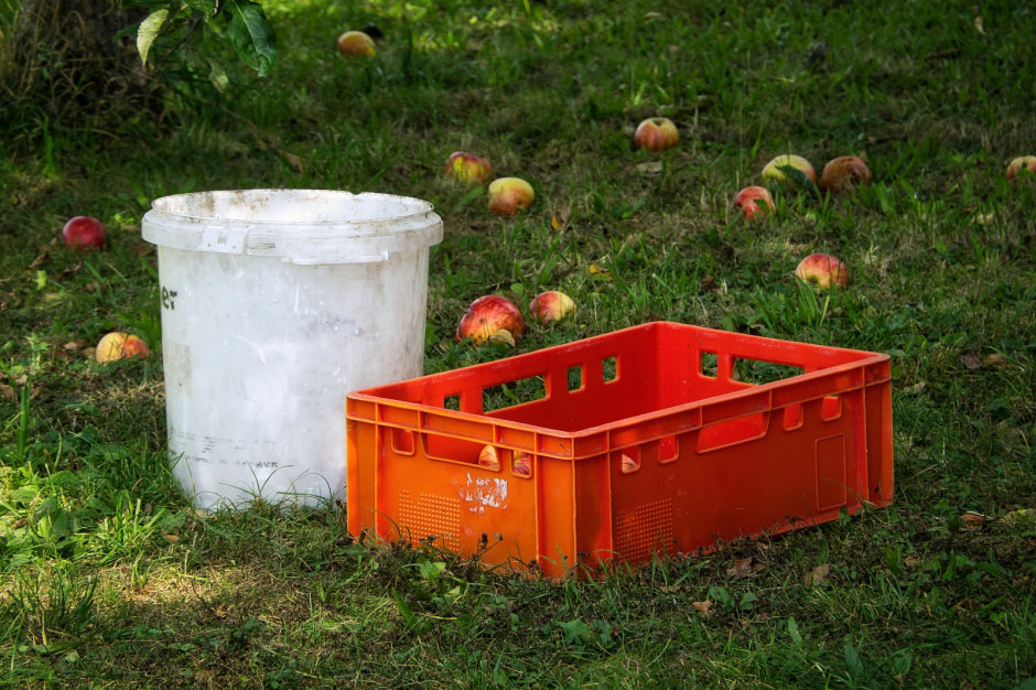 яблоки_сад_фото Joerg Hartmann