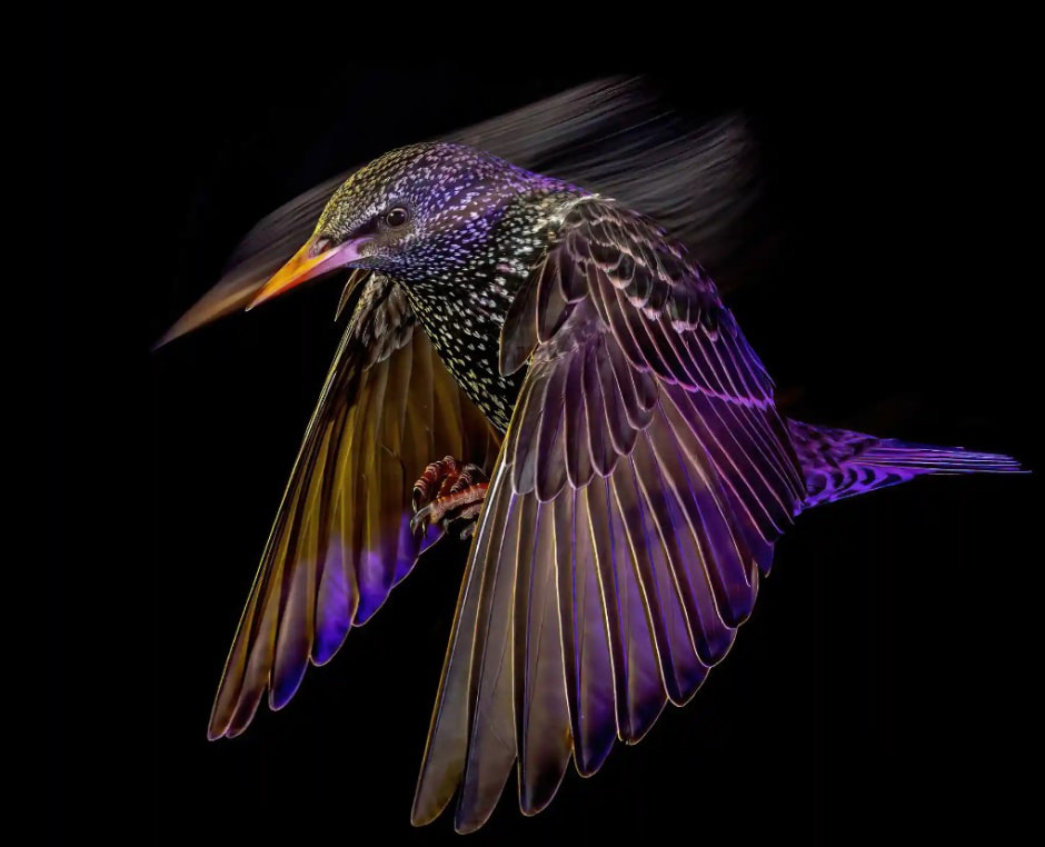 Фотоконкурс 9.jpg