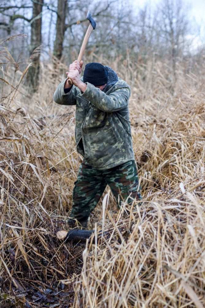 Как бортник спасает на Полесье черных пчел 14.jpg